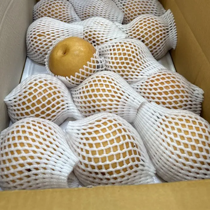 배